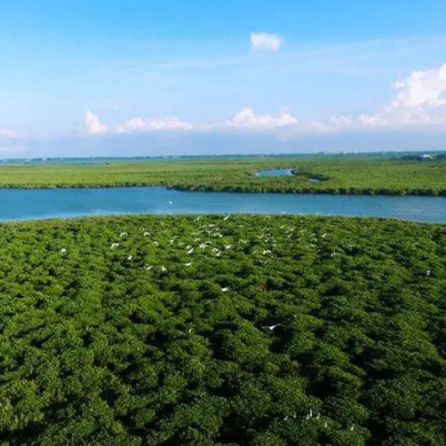 東寨港國家級自然保護區