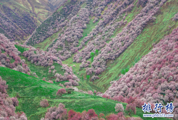 新疆十大春季旅遊景區