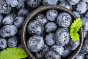 藍莓十大品種排行榜