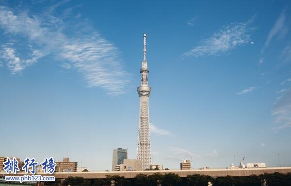 十大世界上最高的塔排名：哈利法塔828米鶴立雞群