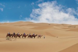 寧夏旅遊報團五日游價格：暢玩沙漠看遍古蹟(行程太香了)