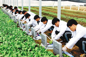 中國農業大學專業排名