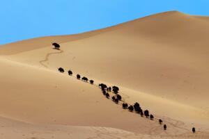 世界上海拔最高的沙漠：庫木庫里沙漠(最高海拔4706米)