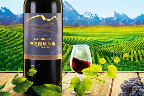 中國十大紅酒品牌，解百納上榜，第一無爭議