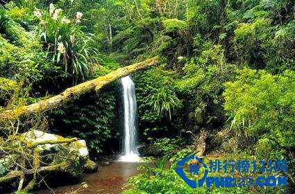 世界上最美的十大熱帶雨林排行榜 最美的熱帶雨林