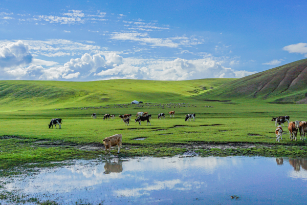 內蒙古親子游景點排行榜前十名