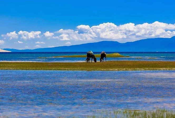國內避暑城市排名 麗江位列榜首，內蒙古上榜兩個