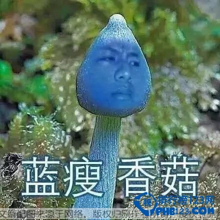 藍瘦香菇圖片