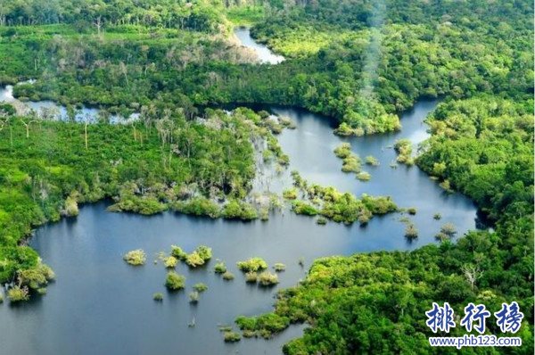 世界上面積最大的河，亞馬遜河（流域面積705萬平方千米）