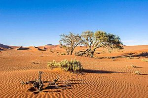 世界上最古老的十個沙漠，納米布沙漠近1億歲，第二世界最大