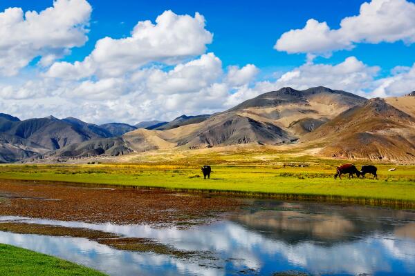 西藏十大最有錢的鎮