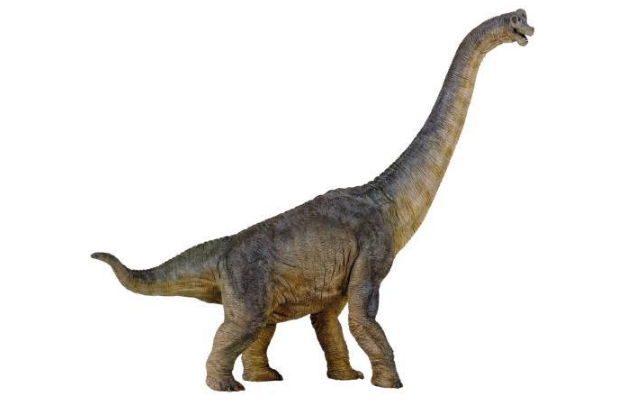 世界最大的十大恐龍 阿根廷龍位列榜首，高度達35米