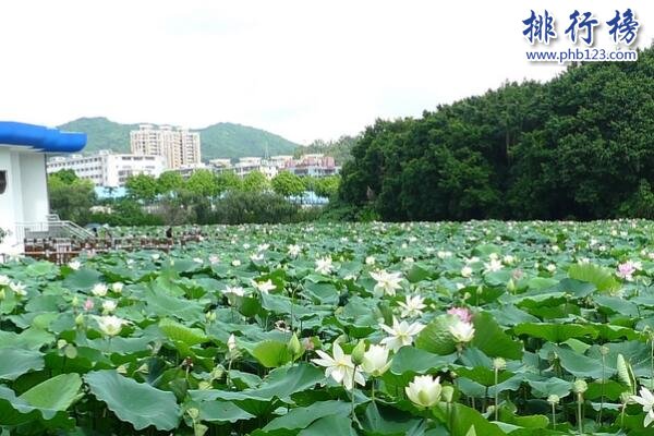 深圳十大夏季避暑旅遊景點