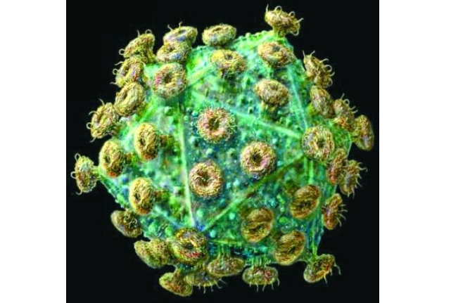 世界破壞力最強的十大病毒 伊波拉位列第一，天花上榜