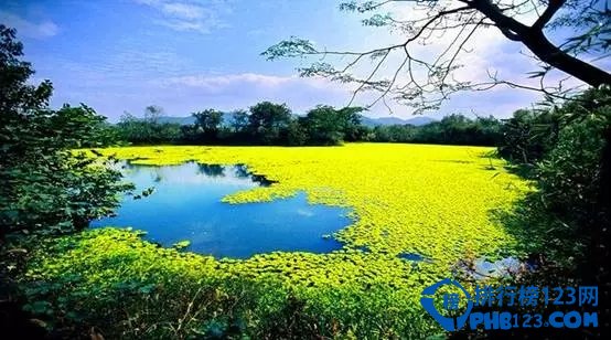 中國最美十大濕地排行榜 中國最好看的濕地有哪些
