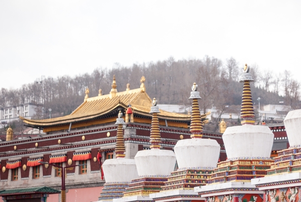 青海十大寺廟排名：第一為5A景區，大佛寺上榜