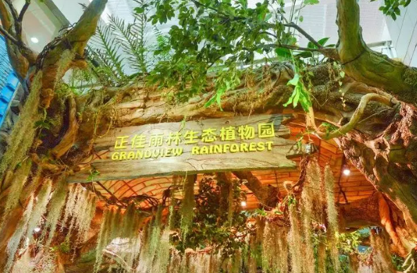 正佳雨林生態植物園