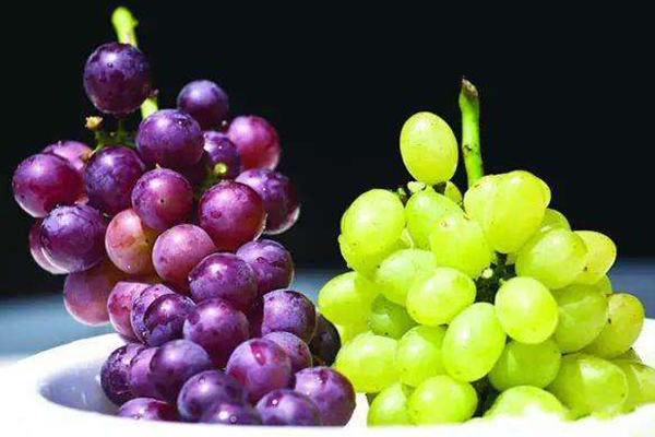提子和葡萄的區別是什麼