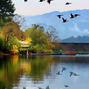 龍湖國家濕地公園