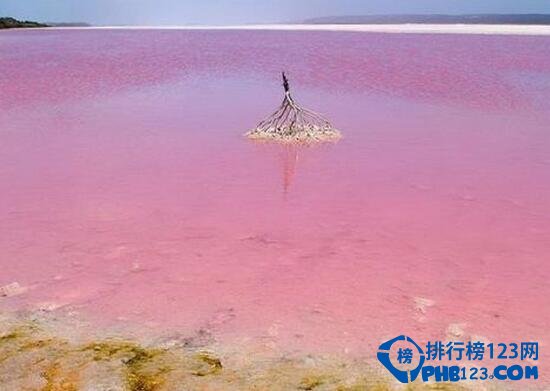 盤點世界上最美的海灘 粉色海灘帶來夢幻味道