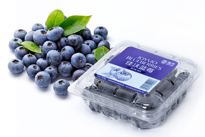 十大藍莓品牌 美味又健康，就選這幾個