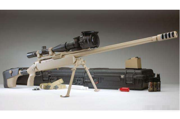 世界十大名狙擊步槍 第一最受國家軍隊青睞，你喜歡哪一種