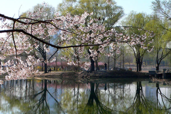 北京春天值得去的公園排行榜