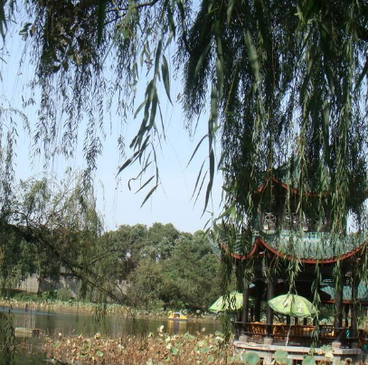 新都桂湖公園