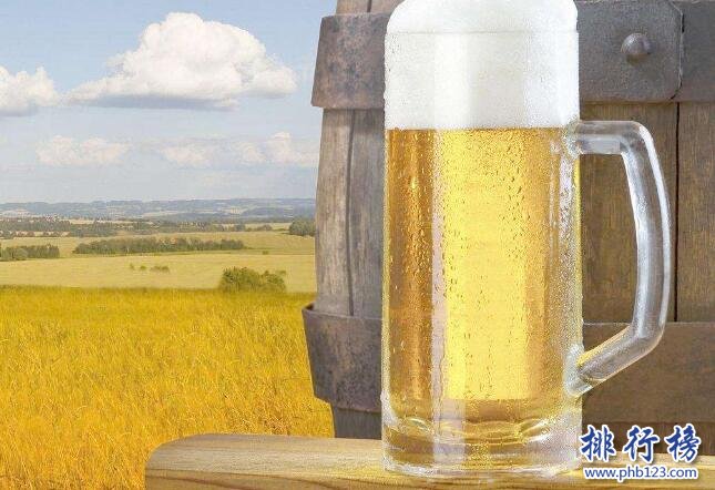 美國精釀啤酒排名 美國著名精釀啤酒品牌