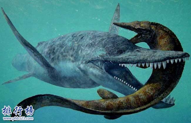 已滅絕的十大巨怪:咬合力媲美霸王龍的魚(9米長4噸重)