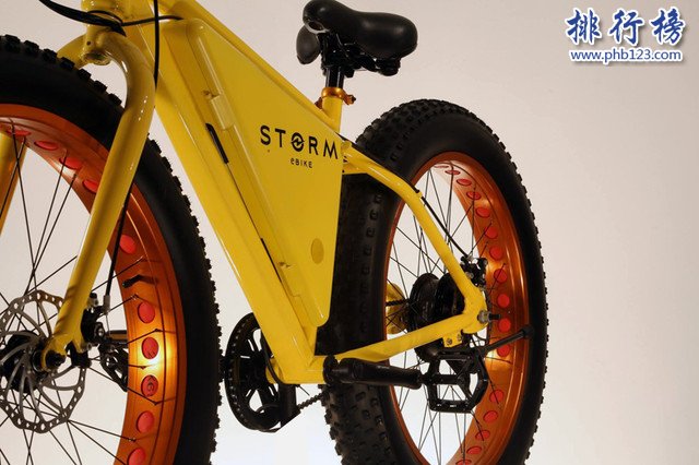 Storm eBike腳踏車圖片