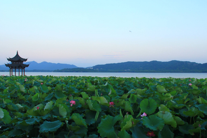 杭州旅遊景點排名前十 西湖必去，這些你都聽說過嗎