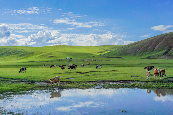 內蒙古夏季景點排行榜前十名
