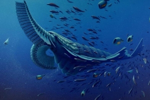 寒武紀十大恐怖生物：奇蝦成地球霸主 恐龍是它晚輩