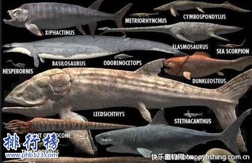 最大的硬骨魚類：利茲魚身長35米，體重如同三頭非洲象