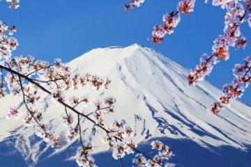 2019泰晤士日本大學排名：東大登頂日本,全球第42位