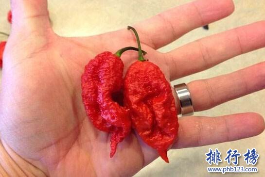 世界上最辣的十大辣椒：死神辣椒第二 第一名可致死