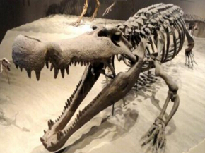史前最大型鱷類動物：普魯斯鱷秒殺霸王龍（長12米、重8.4噸）