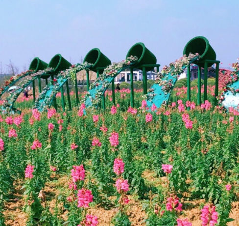 仙鳳農業休閒觀光園