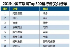 中國網際網路公司500強排名2015