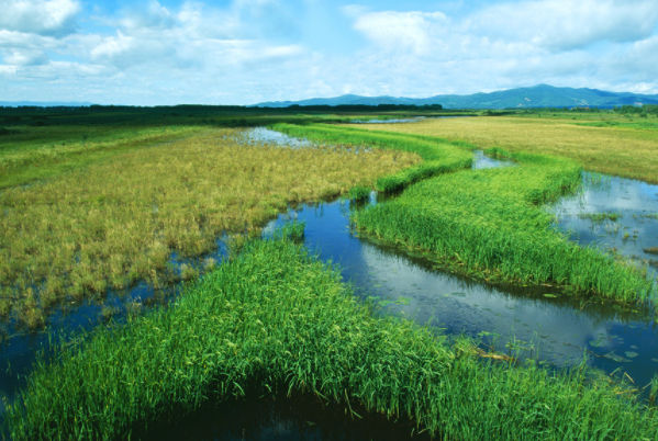中國十大最著名的國家級濕地公園