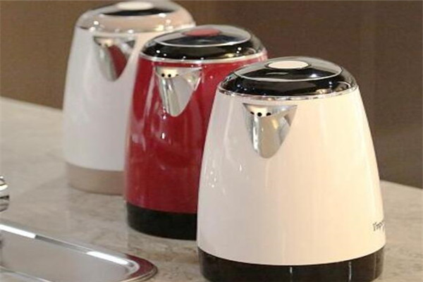 電熱水壺哪個品牌好？專業電水壺品牌排行榜
