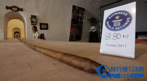 世界上最長的雪茄