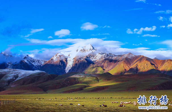 西藏十大強鎮排名