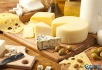 2015年乳酪十大品牌影響力排行