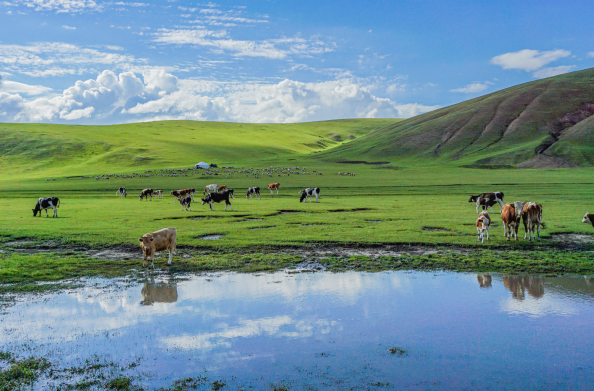 內蒙古9月好玩的景點排名