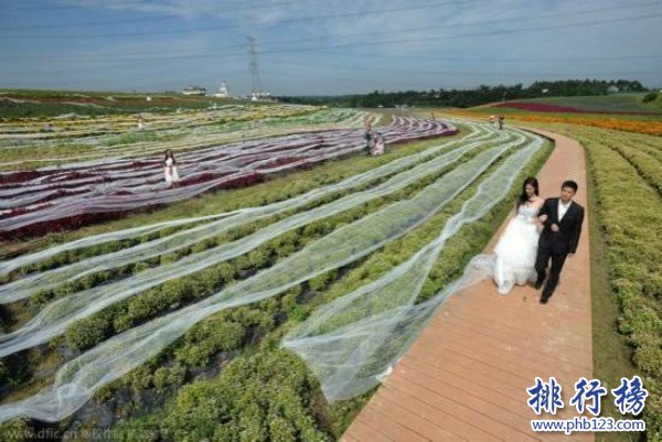 世界上最長的婚紗,中國婚紗長達4100米（40人捧裙擺）