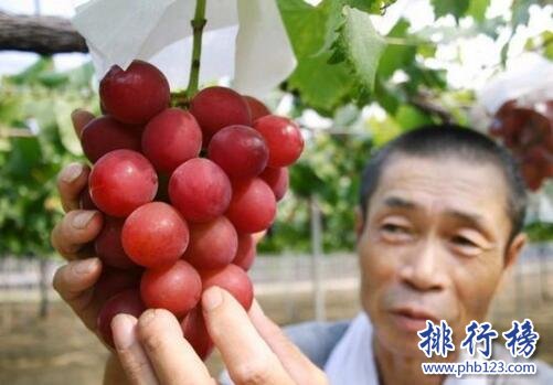 世界上最貴的葡萄