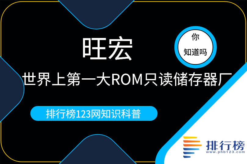 世界上第一大ROM唯讀儲存器廠:旺宏(於1989年創立)