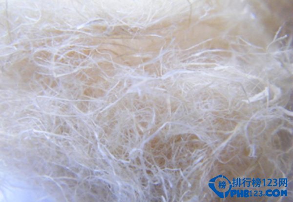 中國十大竹纖維品牌排行榜 中國有哪些竹纖維品牌